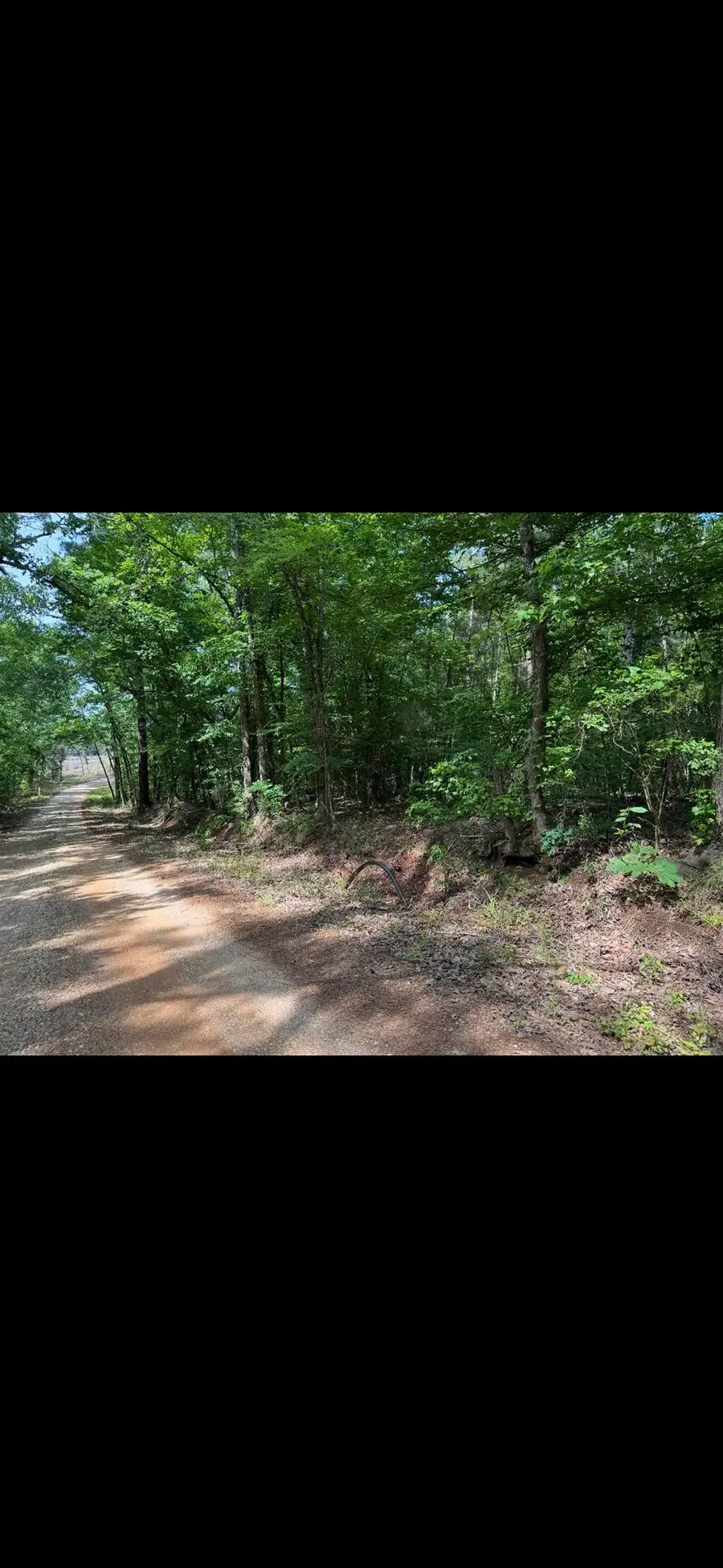3678 CR 1804, Rusk, TX 75785 - #3