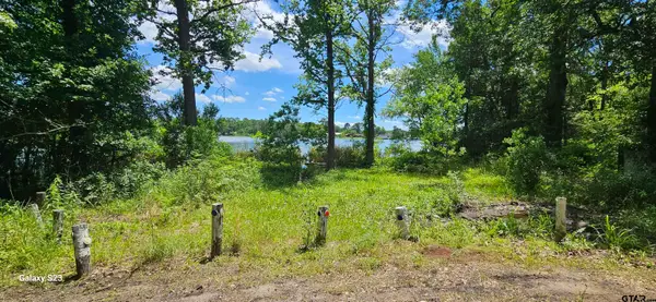 TBD Cr 2290, Mineola,  75773