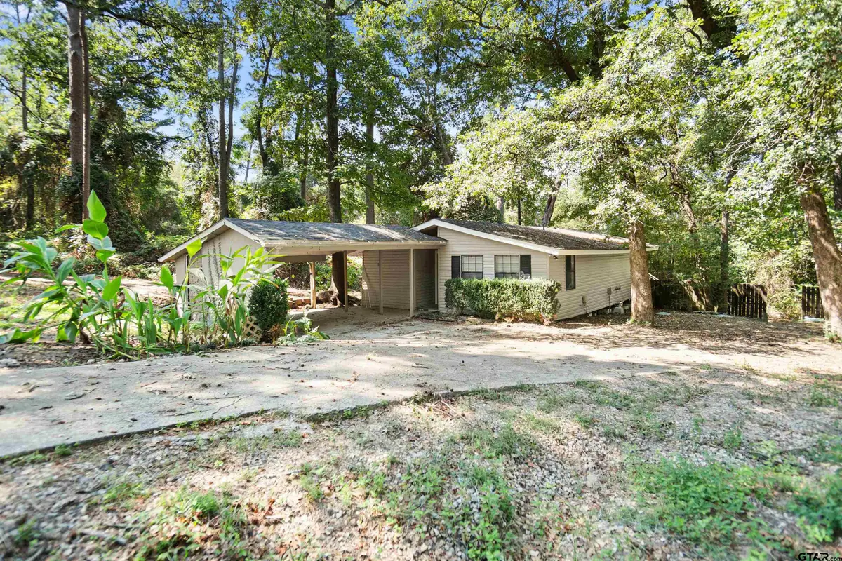 20954 Lakeview Drive, Flint, TX 75762 - #1