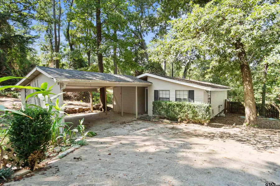 20954 Lakeview Drive, Flint, TX 75762 - #2