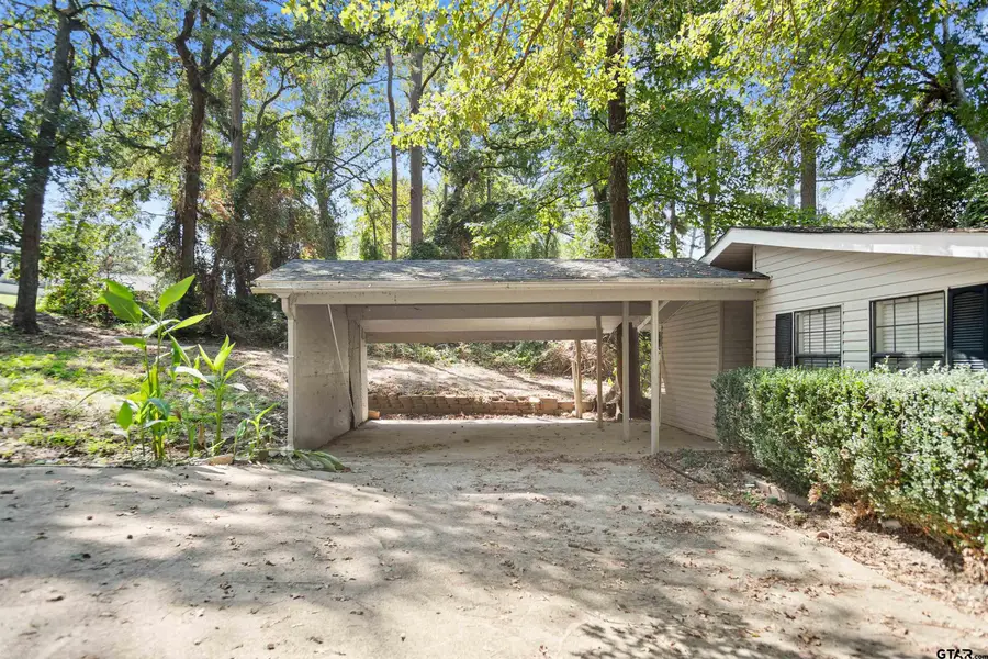20954 Lakeview Drive, Flint, TX 75762 - #3
