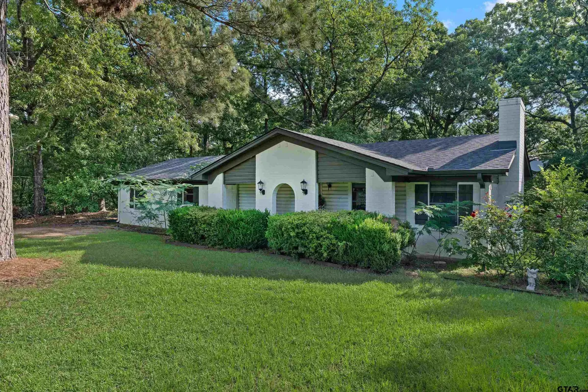 10099 CR 3143, Mount Enterprise, TX 75681 - #1