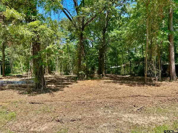 21041 Forest Grove Dr, Chandler, TX 75758
