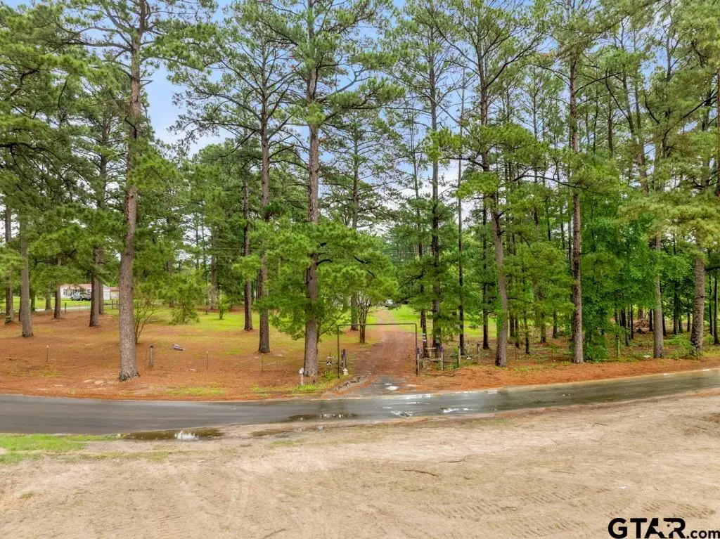 541 CR 2745 (TBD), Mineola, TX 75773 - #1