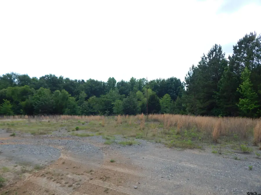 TBD 15 ACRES LOCUST RD, Gilmer, TX 75645 - #2