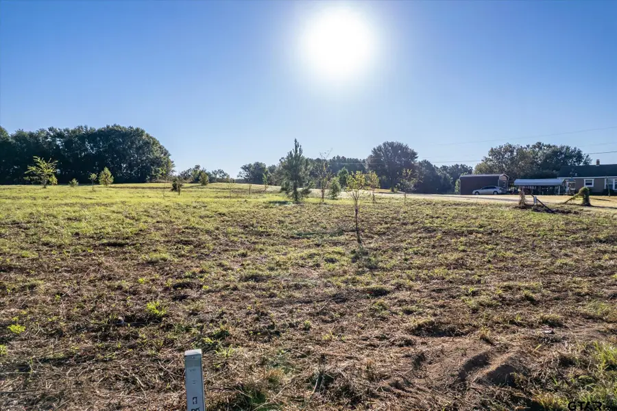 21289 CR 2138, Troup, TX 75789 - #3
