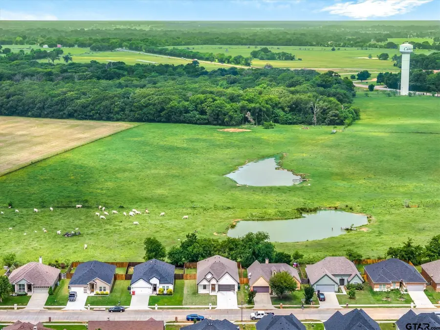 1868 Meadowview, Canton, TX 75103 - #3