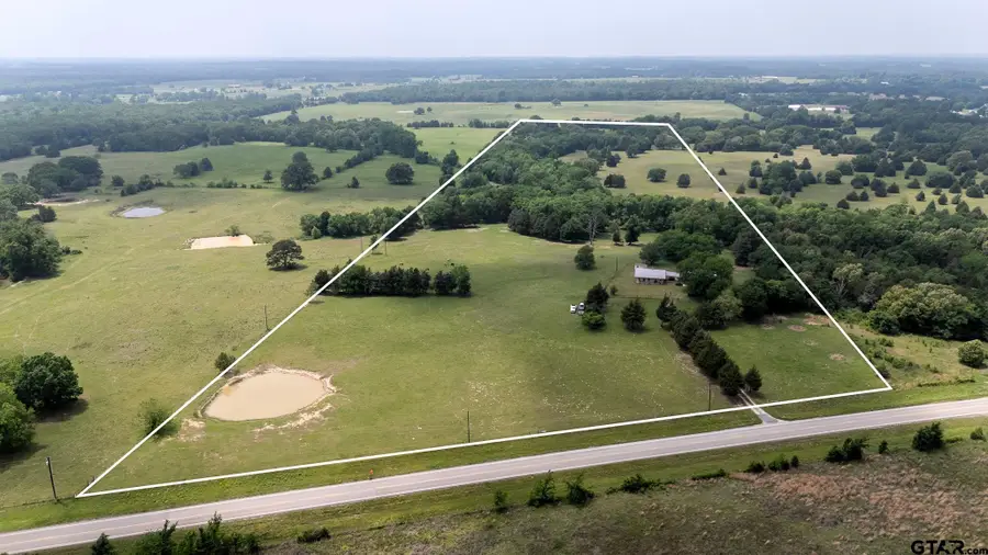 6100 FM 314, Ben Wheeler, TX 75754 - #3