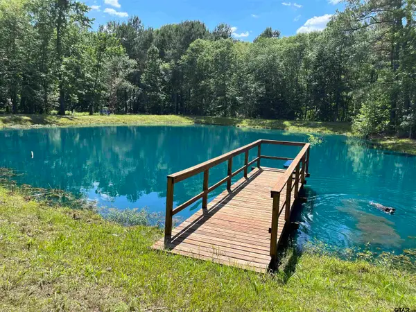2175 AN COUNTY ROAD 353, Neches, TX 75779
