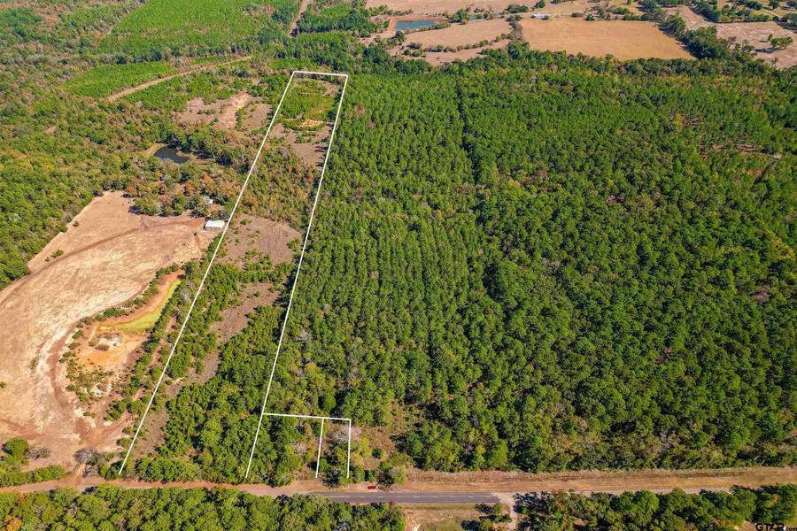 21.34 Ac W FM 1910, Jacksonville, TX 75766 - #3