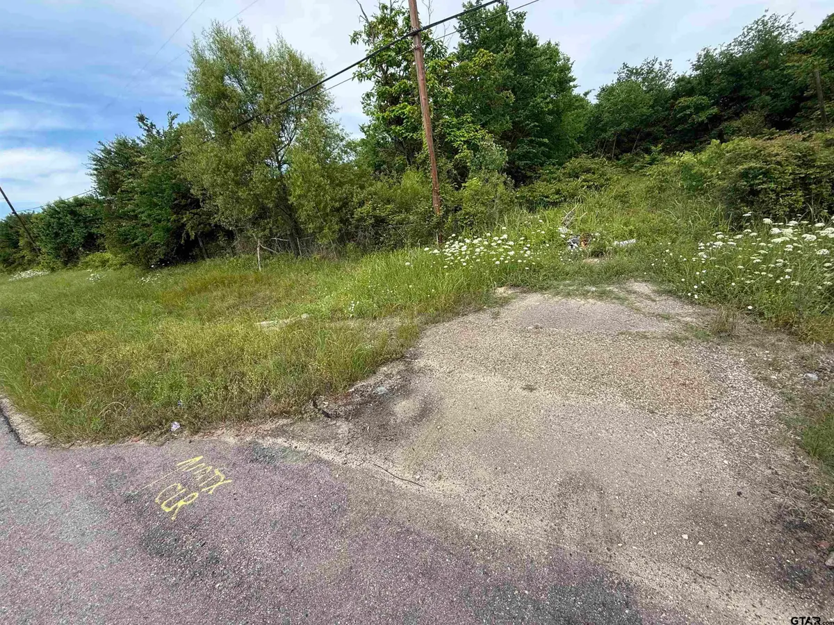 TDB TX Hwy 37, Bogata, TX 75417 - #1