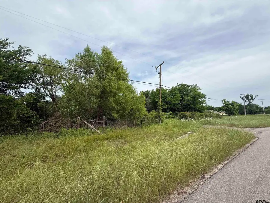 TDB TX Hwy 37, Bogata, TX 75417 - #2