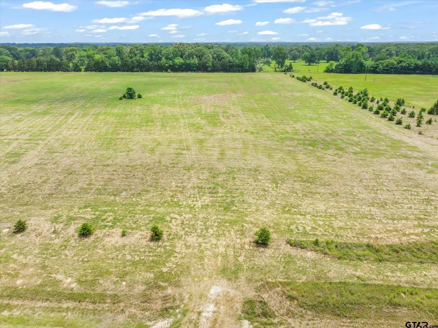 TBD Vz County Road 4912, Van, TX 75790 - #2