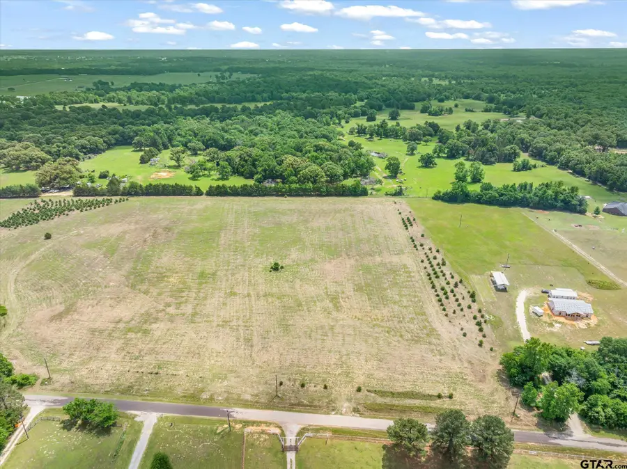TBD Vz County Road 4912, Van, TX 75790 - #3