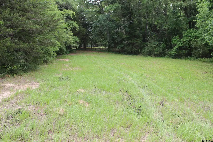 538 CR 4730, Winnsboro, TX 75494 - #2