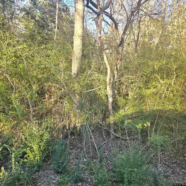 TBP ROLLINGWOOD HILLS DR, Bullard, TX 75757
