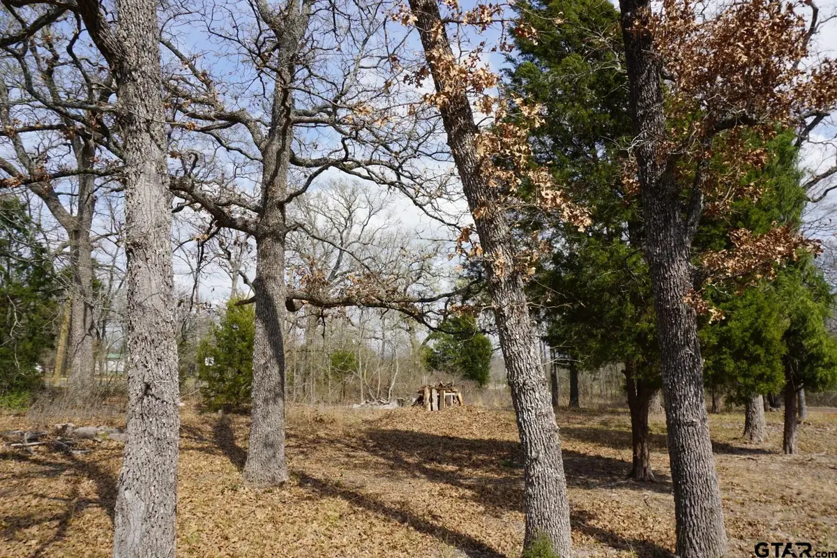 1698 Doc Holiday, Log Cabin, TX 75148 - #1