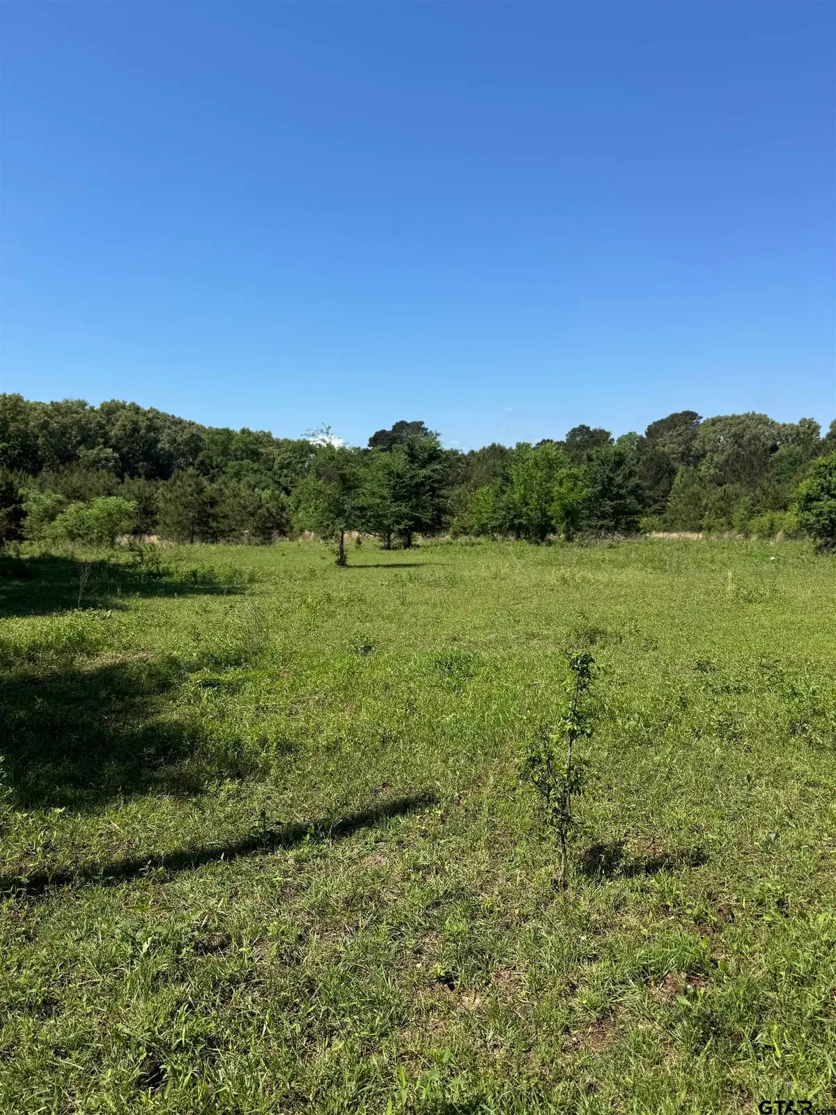 653 FM 855 W, Jacksonville, TX 75766 - #1