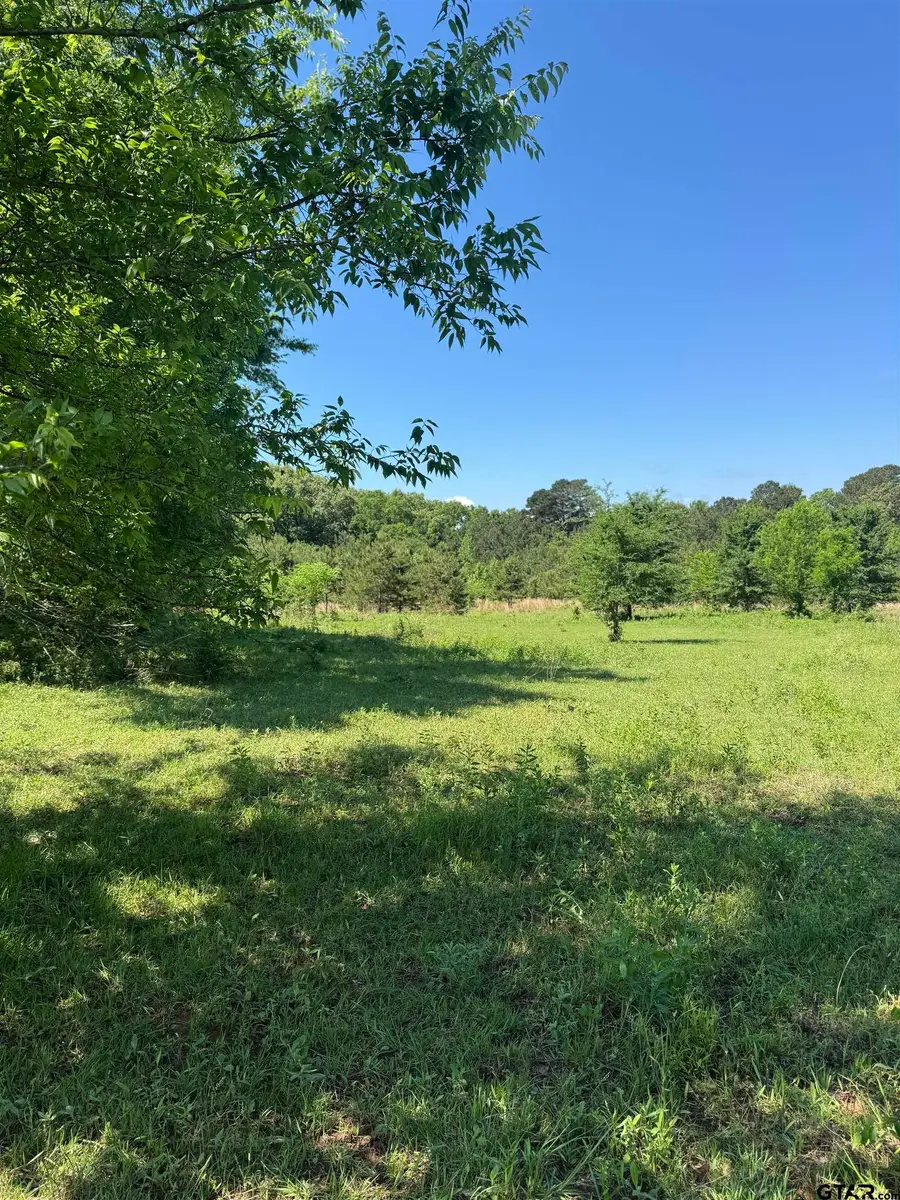 653 FM 855 W, Jacksonville, TX 75766 - #3