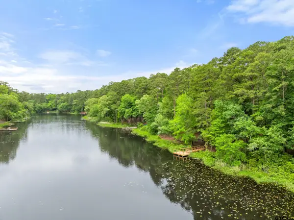 297 Bobwhite Ln, Holly Lake Ranch, TX 75765