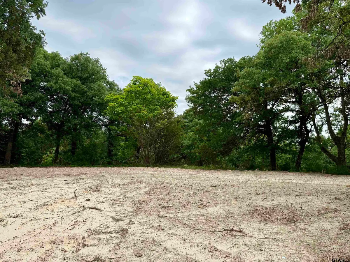20453 FM 1253, Lindale, TX 75771 - #1