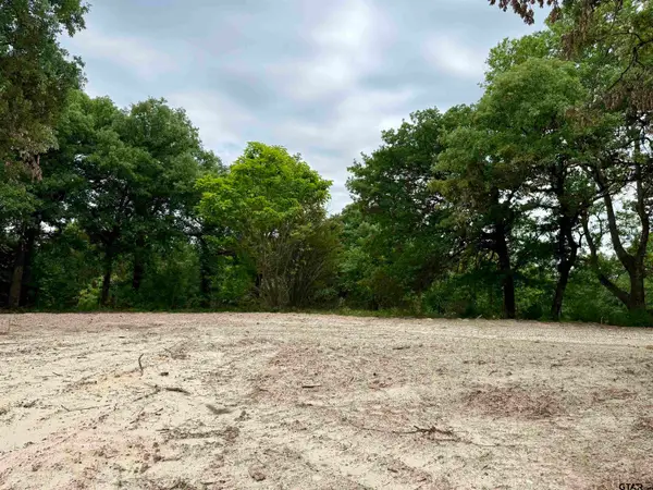 20453 FM 1253, Lindale, TX 75771