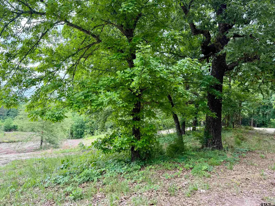 20453 FM 1253, Lindale, TX 75771 - #2