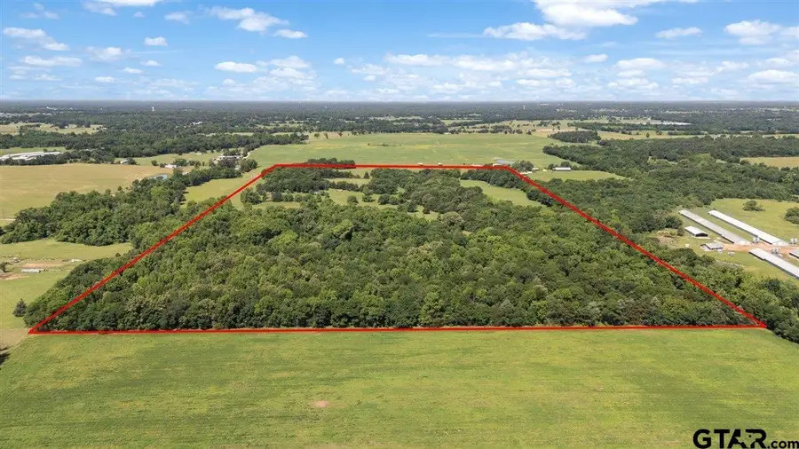 TBD County Road 2395, Winnsboro, TX 75494 - #2