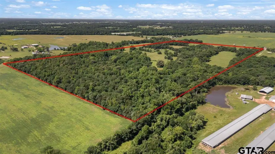 TBD County Road 2395, Winnsboro, TX 75494 - #3