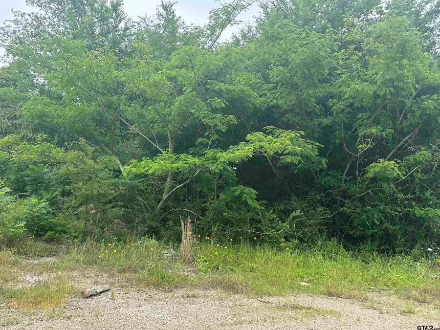 TBA E Hwy 31, Tyler, TX 75705 - #2