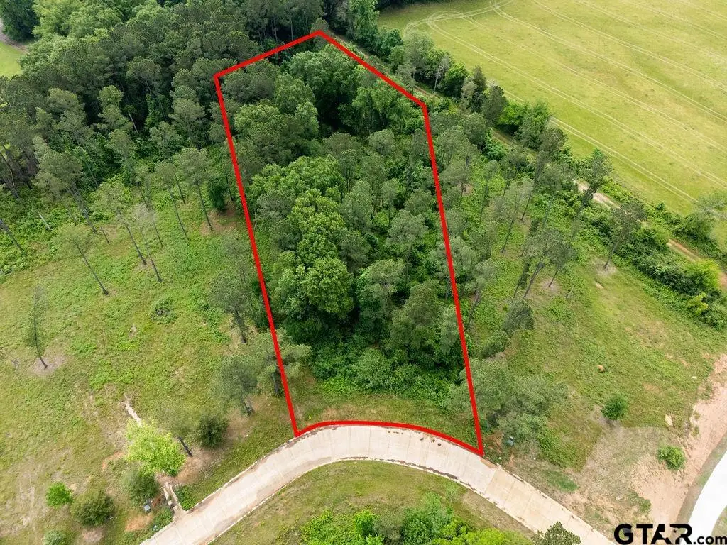 0000 Cottonwood Circle, Hallsville, TX 75650 - #1