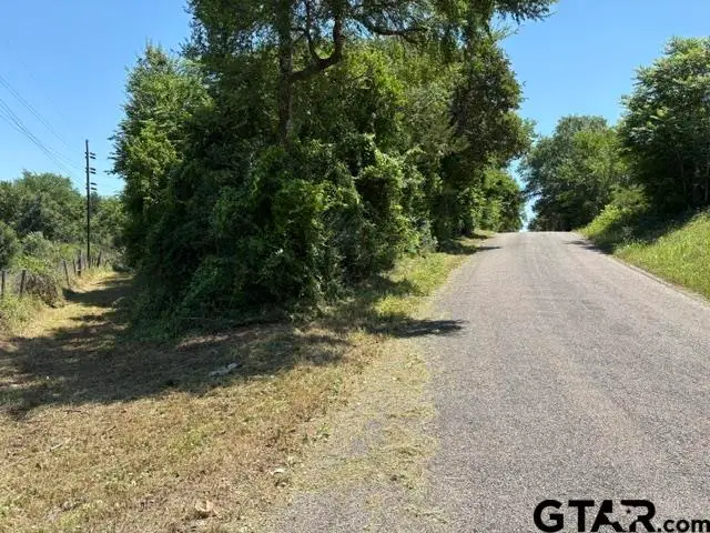 205 Sims Avenue, Jacksonville, TX 75766 - #1