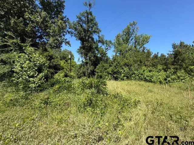 1153 Cr 342, Henderson, TX 75654 - #3