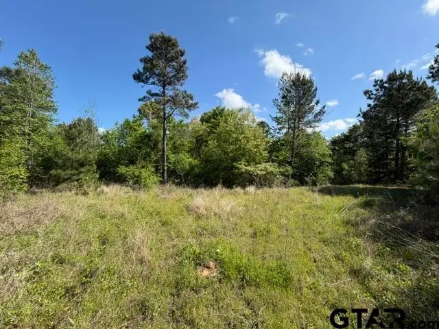 000 FM 850, Tyler, TX 75705 - #1