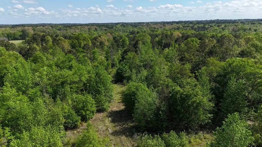 000 FM 850, Tyler, TX 75705 - #3