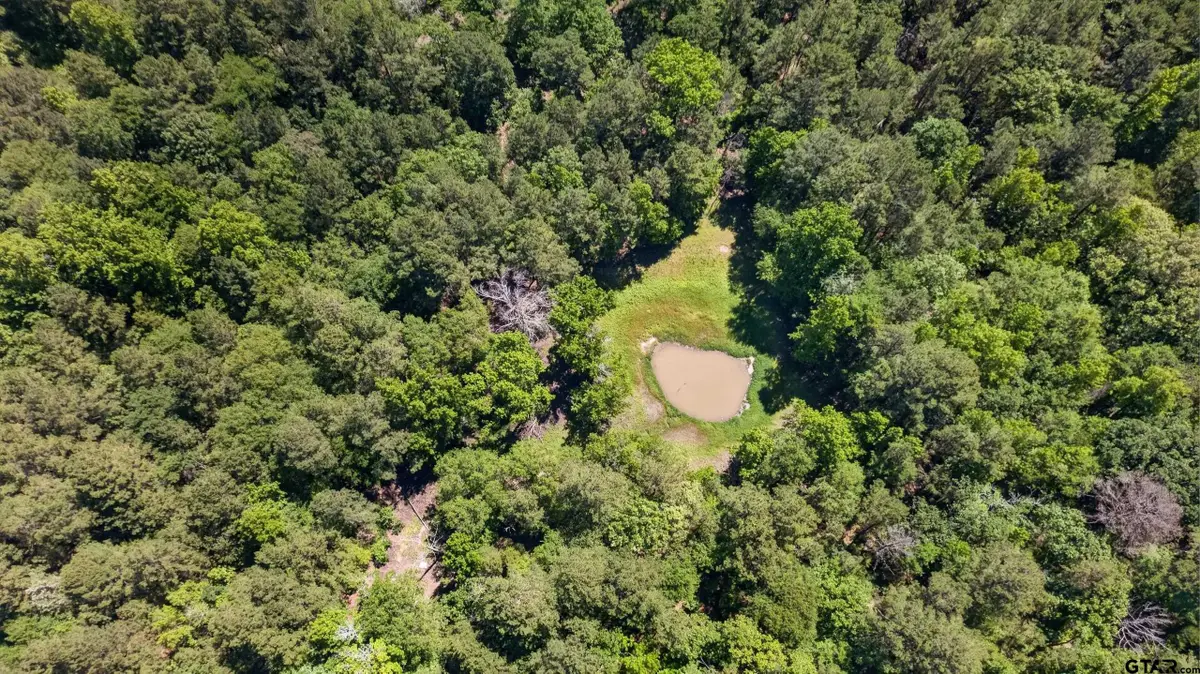 0 Anderson County Road 359, Palestine, TX 75801 - #1