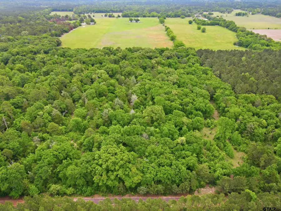 000 Private Road 7832, Hawkins, TX 75765 - #3