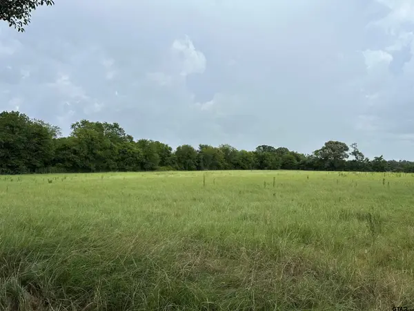 3697 An County Road 309 Tract 1, Frankston, TX 75763