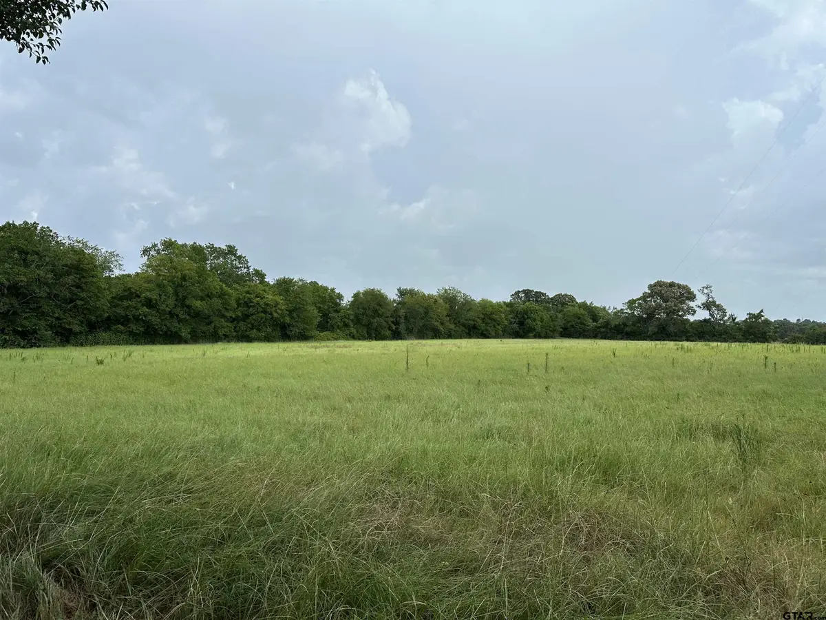 3697 An County Road 309 Tract 2, Frankston, TX 75763 - #1