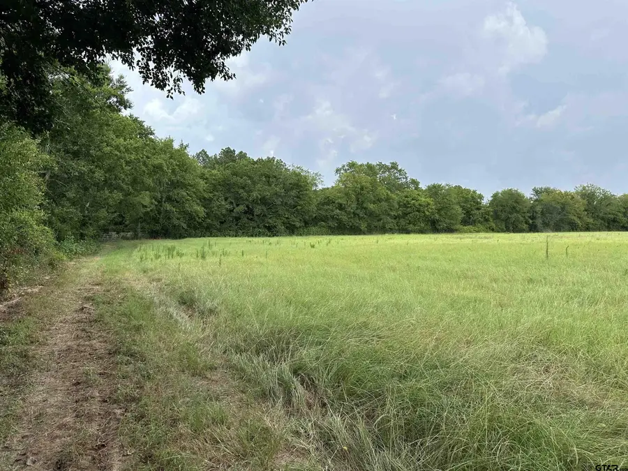 3697 An County Road 309 Tract 2, Frankston, TX 75763 - #2