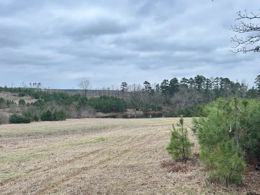 421 CR 3875, Mineola, TX 75773 - #2