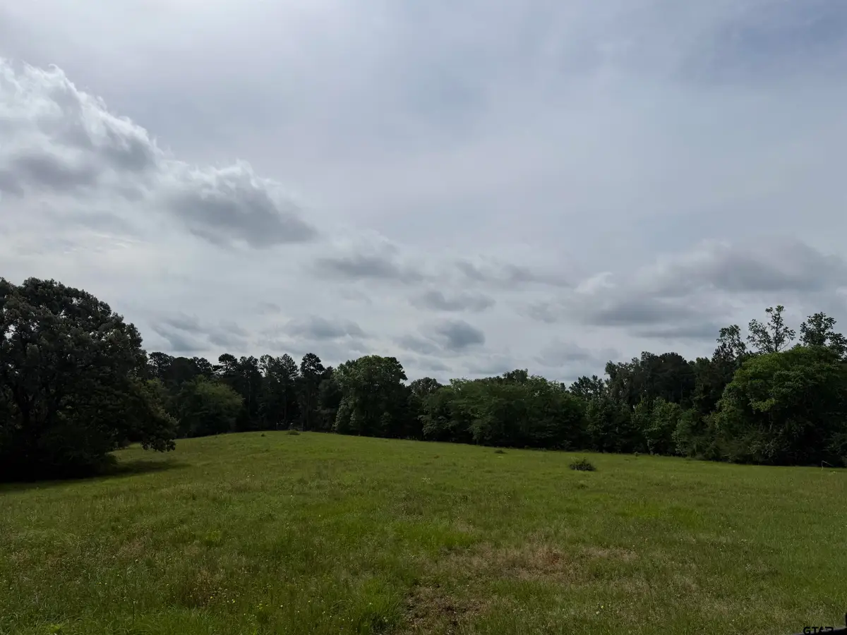 TBD CR 1404 -60.30 acres, Jacksonville, TX 75766 - #1