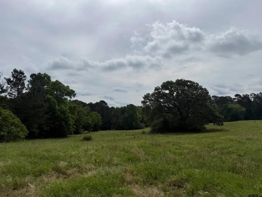 TBD CR 1404 -60.30 acres, Jacksonville, TX 75766 - #2