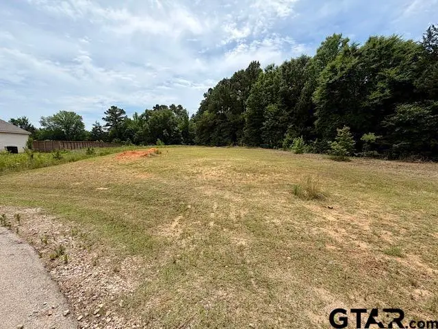 14973 Turtle Creek Ranch Road, Flint, TX 75762 - #1