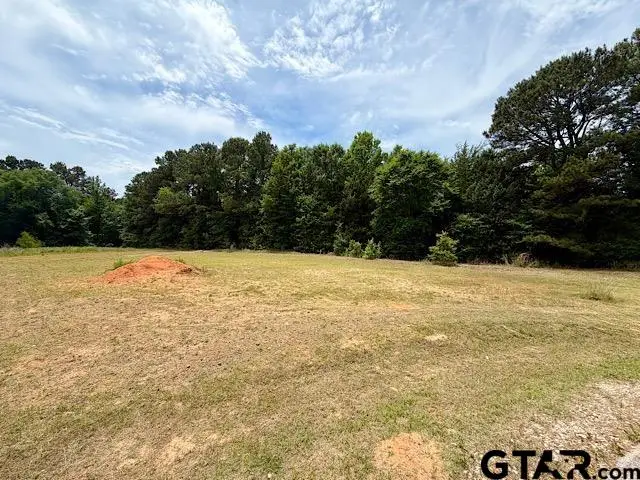 14973 Turtle Creek Ranch Road, Flint, TX 75762 - #2