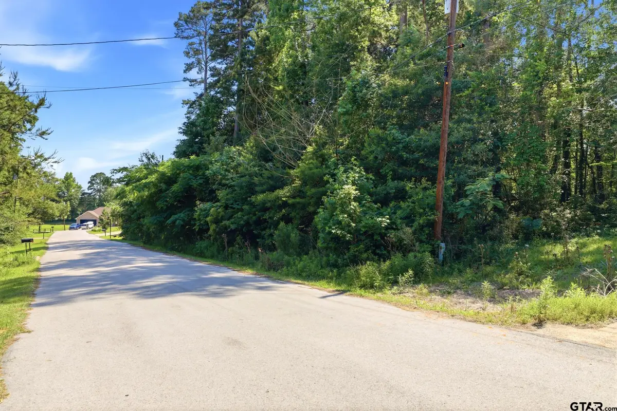14065 Creekview Trl, Tyler, TX 75707 - #1