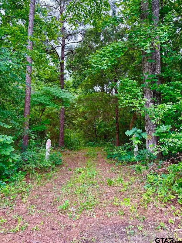 TBD County Road 4504, Jacksonville, TX 75766