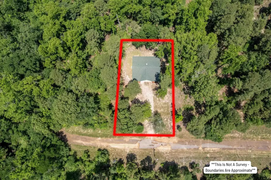 194 Sabine St, Scroggins, TX 75480 - #3