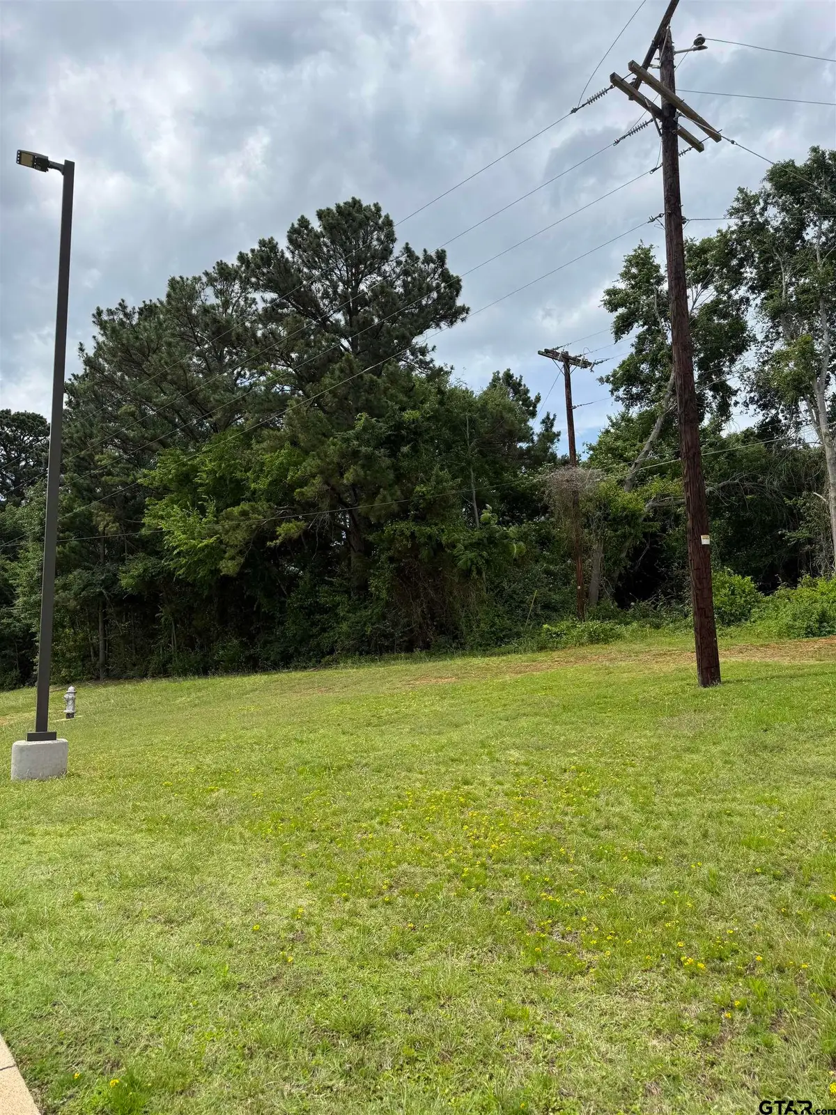 TBA Hwy 155, Palestine, TX 75803 - #1
