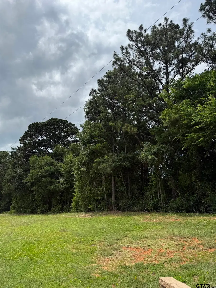 TBA Hwy 155, Palestine, TX 75803 - #3